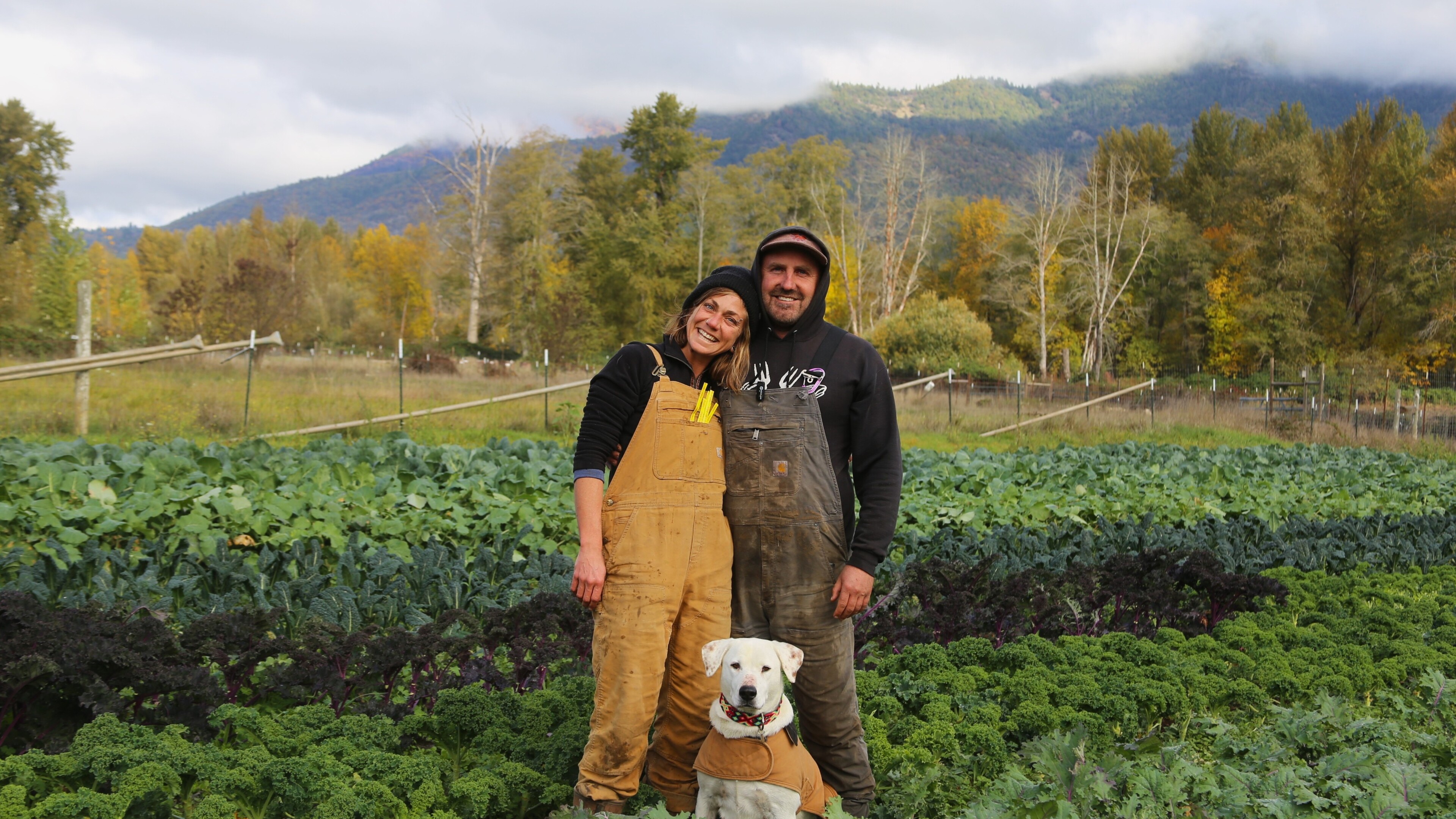 Two farmers in a field with a dog