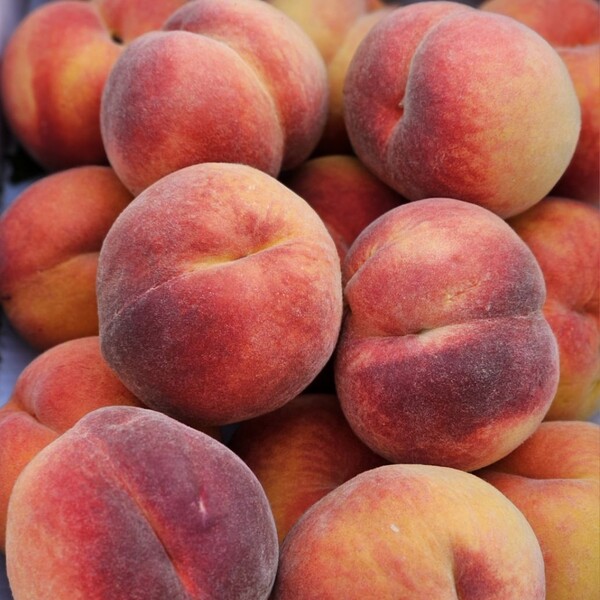 Rolling Hills Peaches