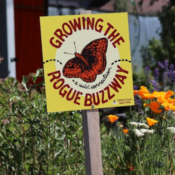 sign with a butterfly that says "growing the rogue buzzway"