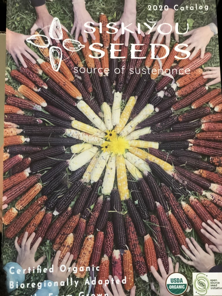 Siskiyou Seeds