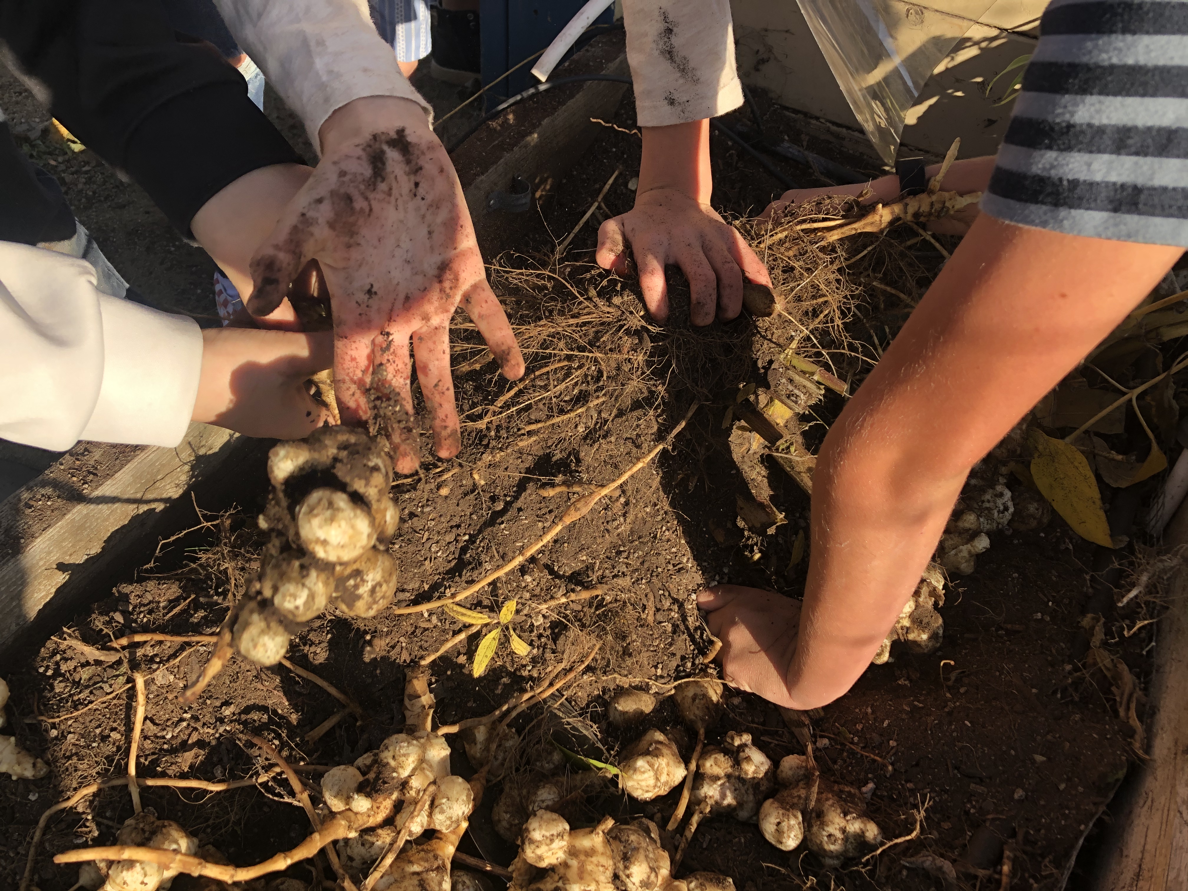 Rogue Valley Farm to School - Garden Education Program