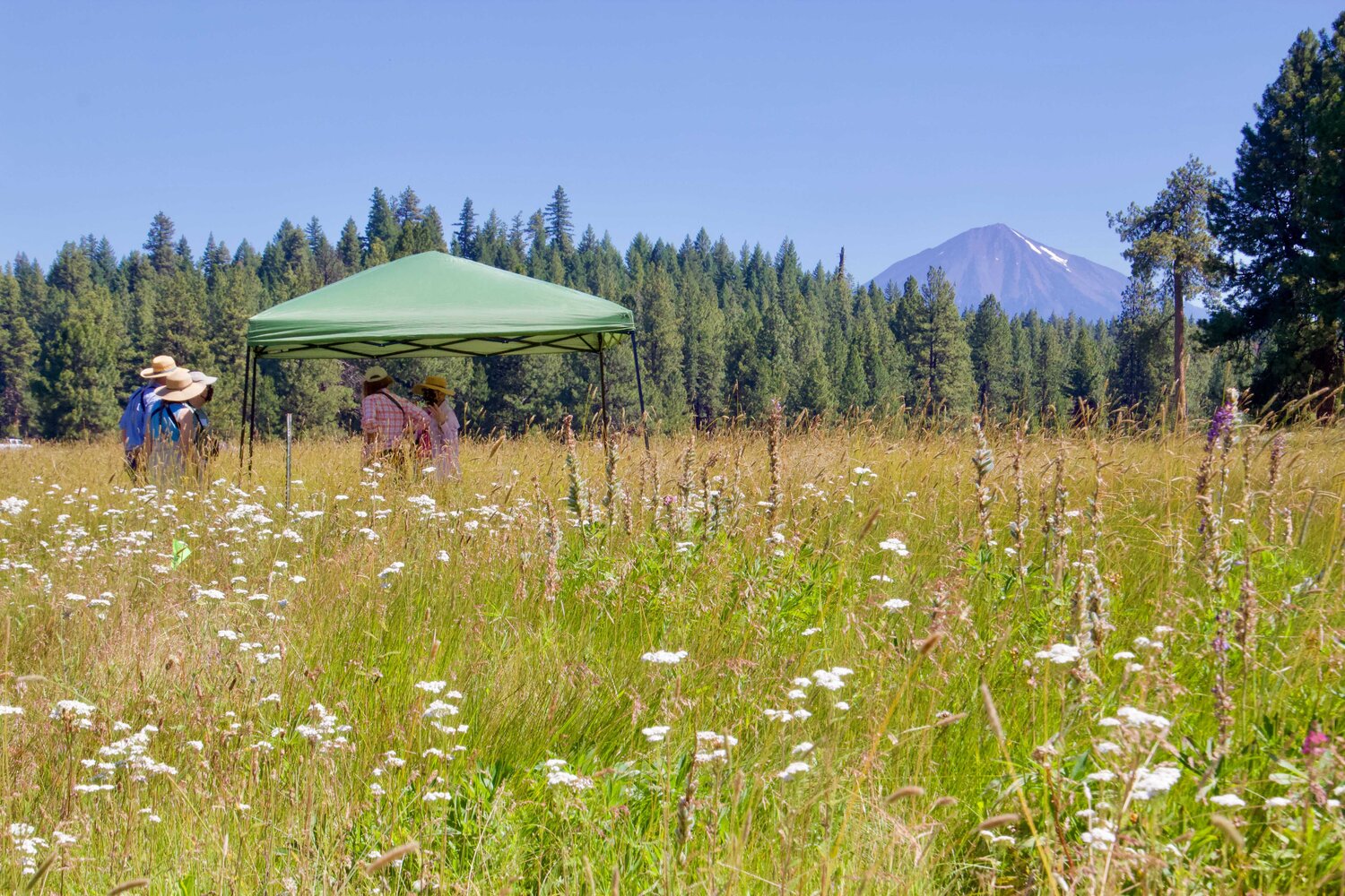 Change for Good Southern Oregon Land Conservancy