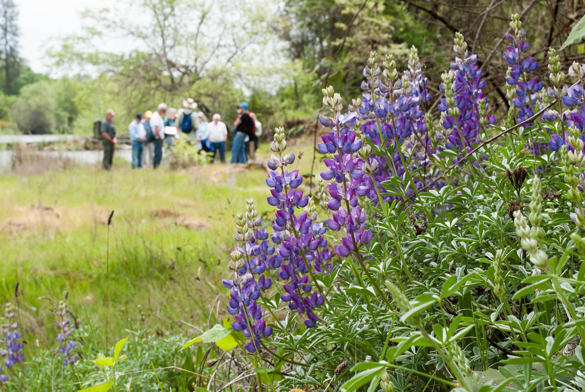 Change for Good Southern Oregon Land Conservancy