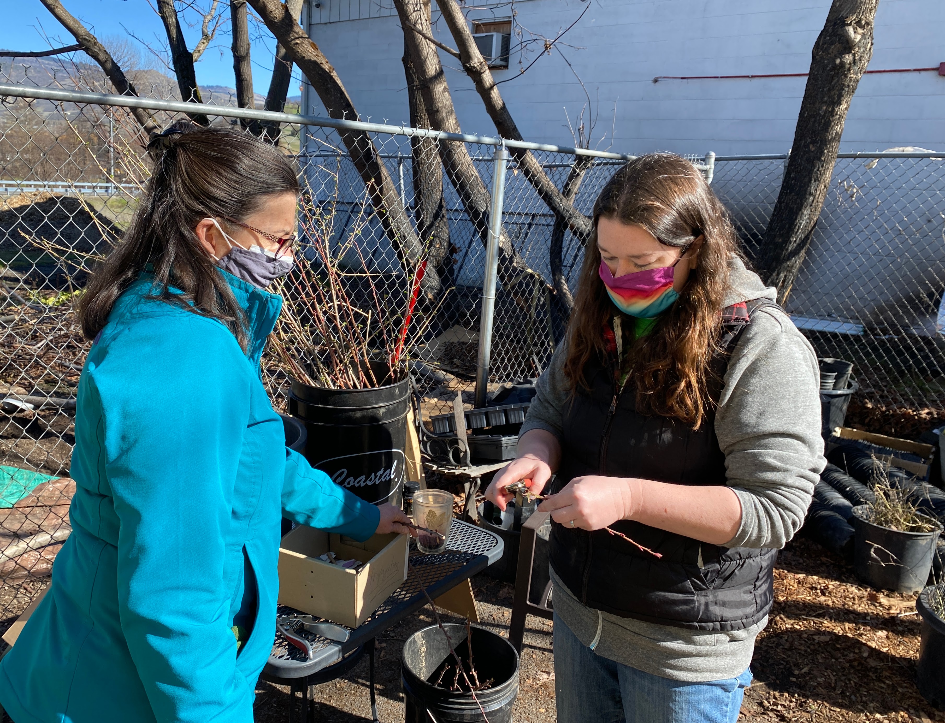 Pollinator Project Rogue Valley