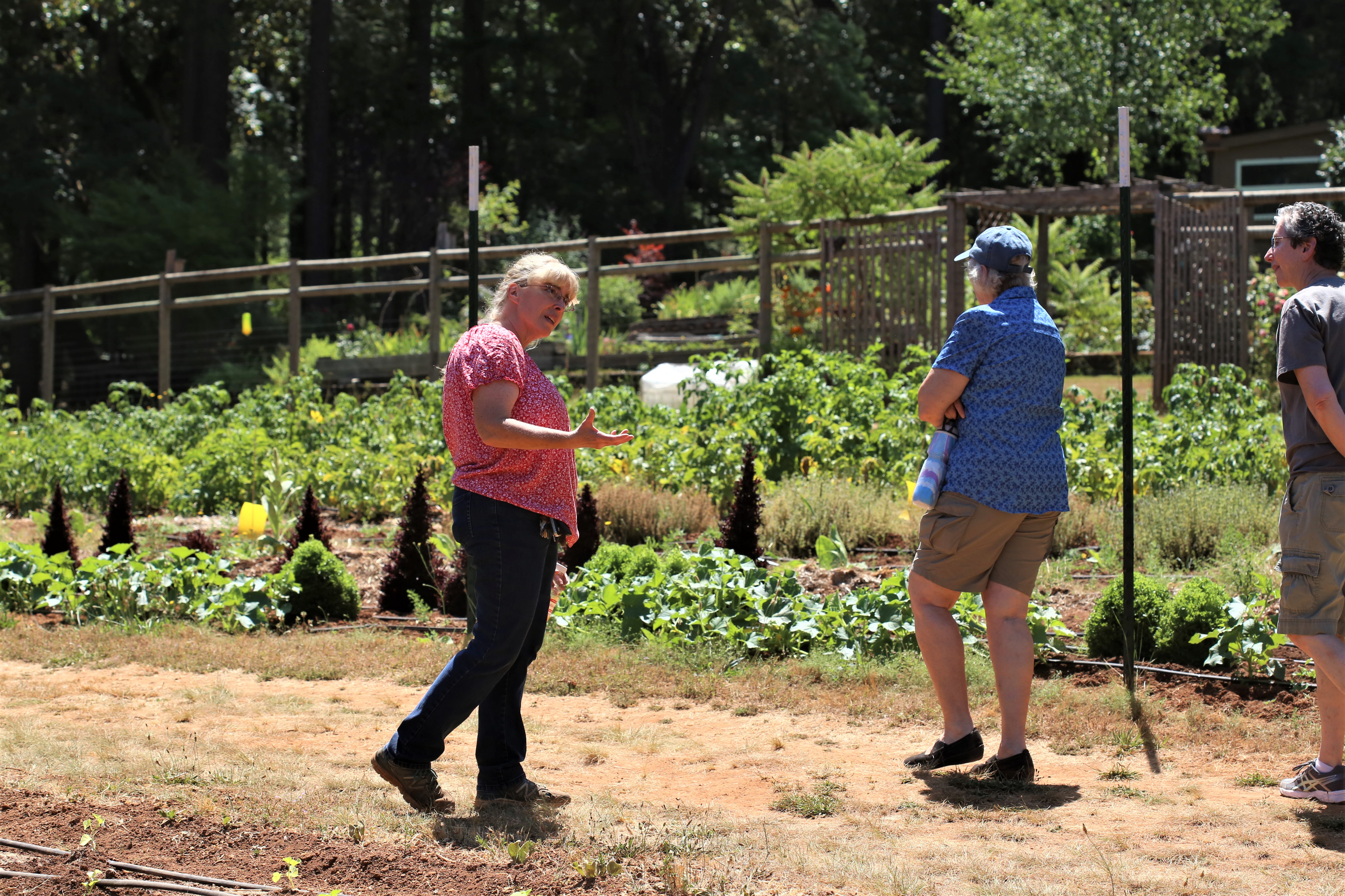 Leading a tour of a local farm